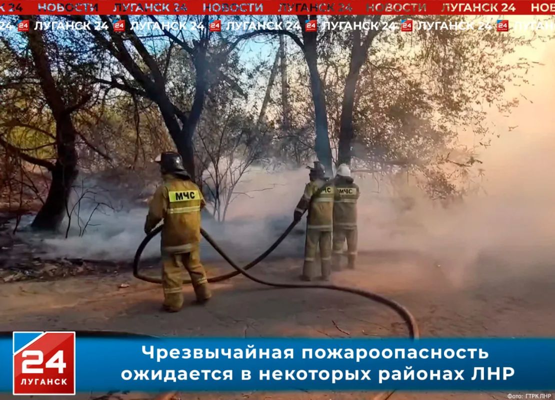 Чрезвычайная пожароопасность ожидается в некоторых районах ЛНР