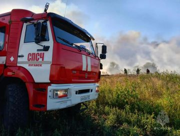 За прошедшие сутки в ЛНР ликвидировали 14 пожаров и обнаружили 154 взрывоопасных предмета