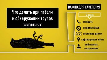 ����� ��� ���������: ��� ������ ��� ������ � ����������� ������ ��������