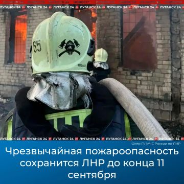 ������������ ��������������� ���������� �� ����� 11 �������� � ����������� � �������� ������� ���