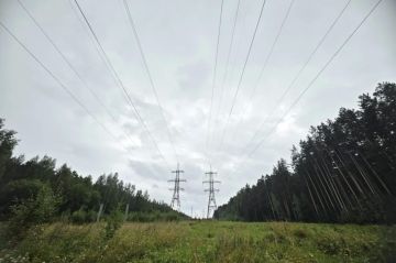 Более 50 населённых пунктов ЛНР остаются без электричества с 2022 года