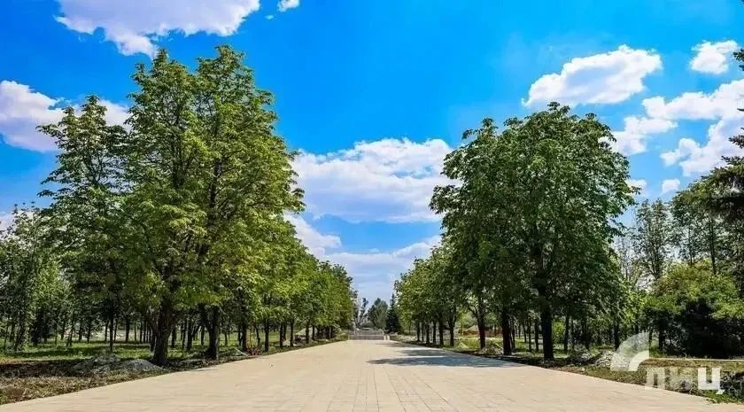 Парк «Дружба» в Луганске почти готов к открытию