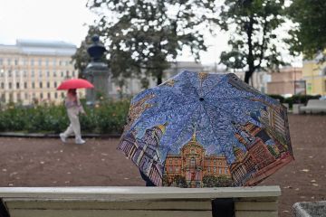 �� +31� � �����: ����� ����� ������ � ��� 14 ��������