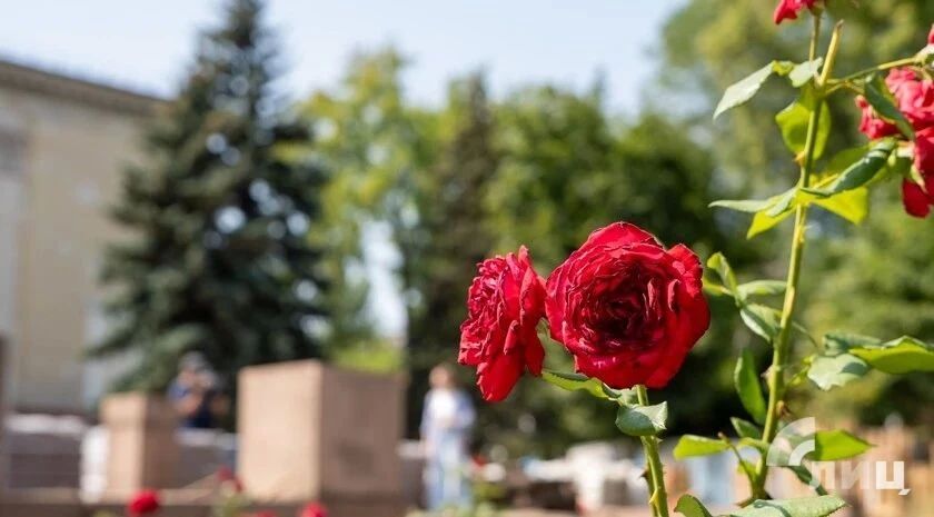 Скверы у автовокзала и «ГУМа» в Луганске могут обновить!