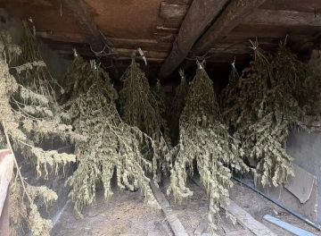 В Белокуракино изъяли более 5,7 килограммов наркотиков