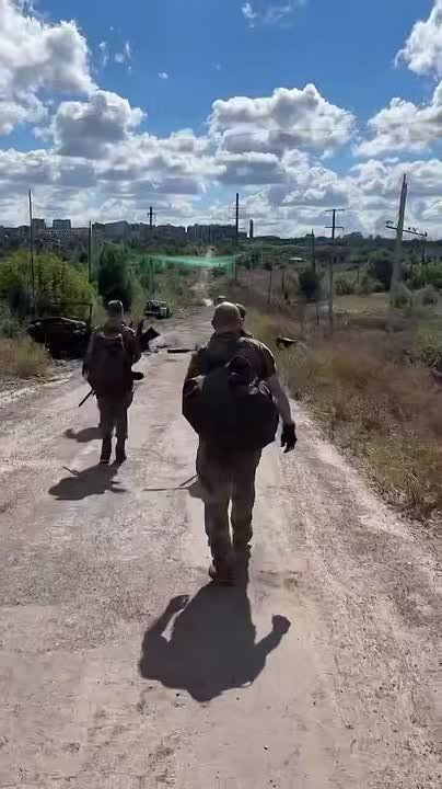Игорь Гомольский: А еще в Луганской, Запорожской, Херсонской, Белгородской, Курской и Харьковской