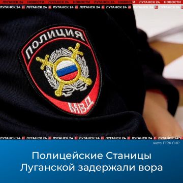 Полицейские Станицы Луганской задержали вора