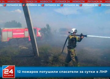 12 пожаров потушили спасатели за сутки в ЛНР