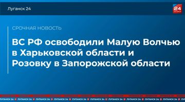 ВС РФ освободили Малую Волчью в Харьковской области и Розовку в Запорожской области – Минобороны России