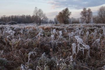 В ЛНР ожидаются заморозки до -3 °С