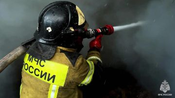 За сутки в ЛНР ликвидировали 8 пожаров, саперы нашли 60 взрывоопасных предметов