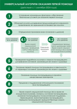 Этот простой алгоритм действий поможет спасти чью-то жизнь до приезда медиков