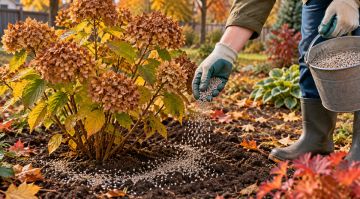 Основа энергетической валюты. Зачем растениям нужен фосфор