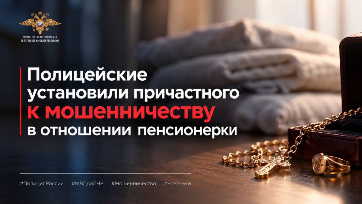 111Полицейские установили причастного к мошенничеству в отношении пенсионерки