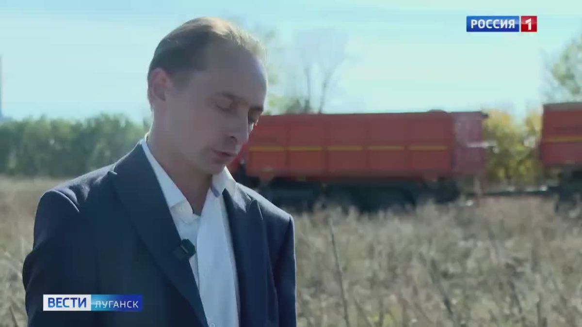 В ЛНР испытывают новый гибрид подсолнечника из Воронежа