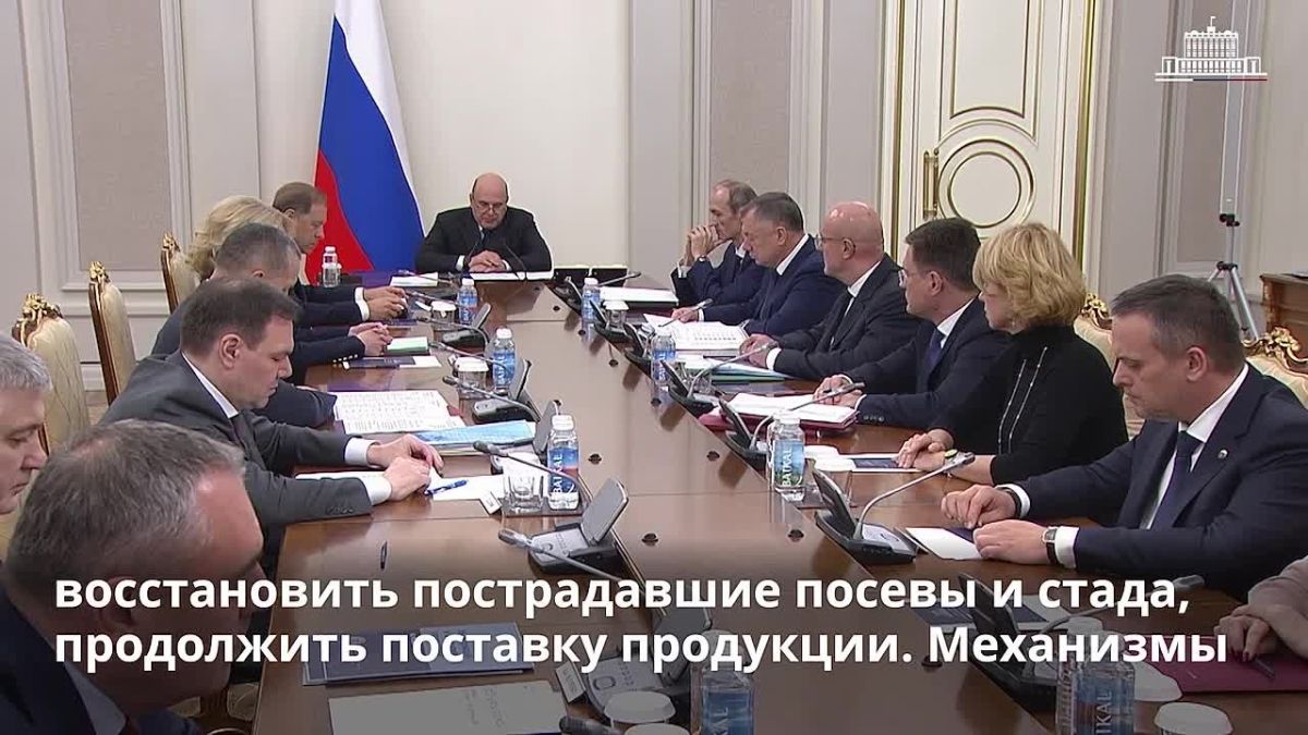 Сельхозпроизводители новых регионов смогут воспользоваться программой господдержки агрострахования