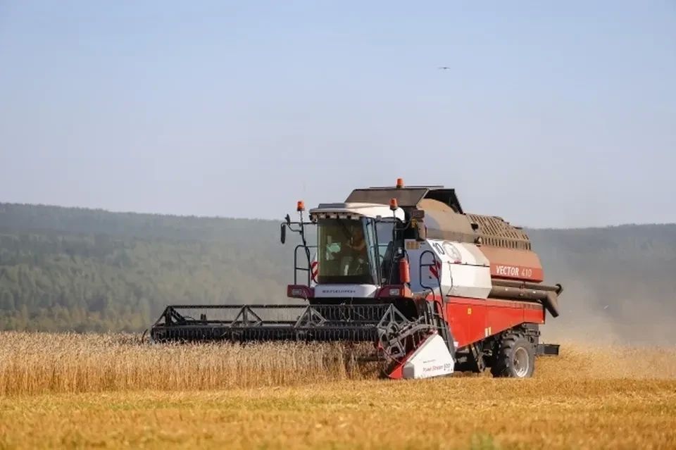 Аграрии ЛНР смогут оформить льготное агрострахование с 2027 года