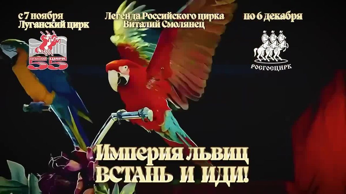 Шоу «Империя львиц (Встань и иди)» пройдет в луганском цирке с 7 ноября по 6 декабря, сообщили в учреждении культуры