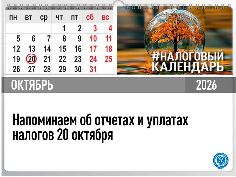 Специалисты Межрайонной ИФНС России №2 по Луганской Народной Республике напоминают о сдаче отчетов и уплаты налогов