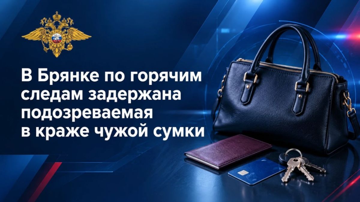 11 В Брянке по горячим следам задержана подозреваемая в краже чужой сумки