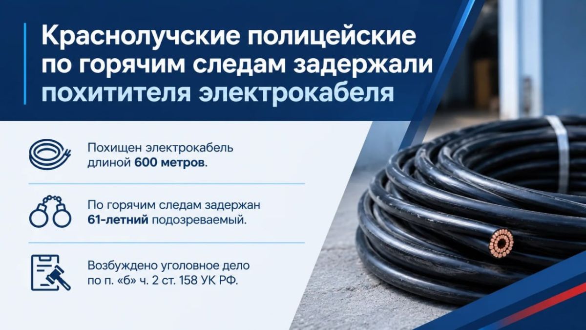 11Краснолучские полицейские по горячим следам задержали похитителя электрокабеля