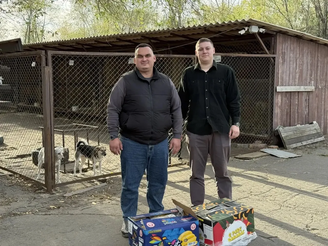 Помощь приюту «Помоги другу»